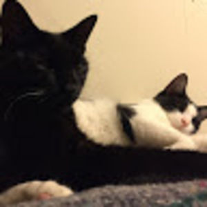 Meet your Posher, Grace